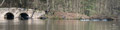 ./Photos/Faune/oiseaux/ZoneHumide/OiesBernache/miniature/Oies_Bernarches_05_HD.jpg