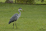 Autofocus Nature. 2009 Tous droits rservs
