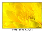 Nouvelle galerie Macro