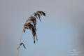 ./Photos/Paysages/miniature/2013-04-12_17-29-15_HD.jpg