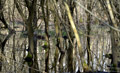 ./Photos/Paysages/miniature/2013-04-12_17-56-12_HD.jpg