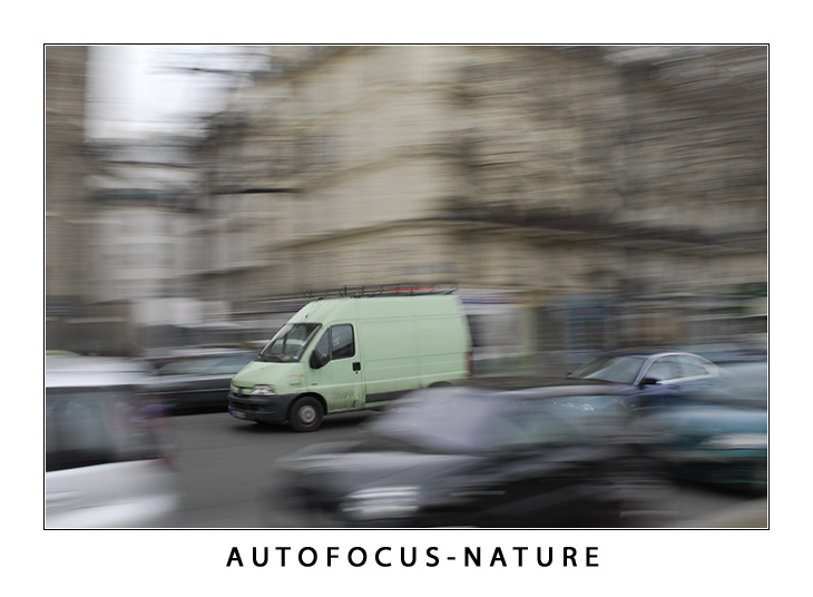 Photo du mois